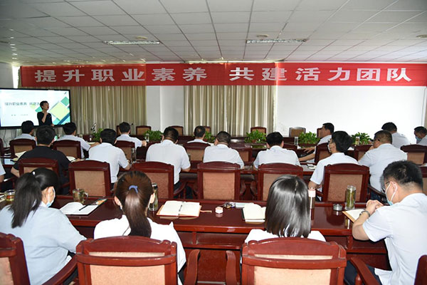 公司舉辦“提升職業(yè)素養(yǎng) 共建活力團隊”專題培訓(xùn)