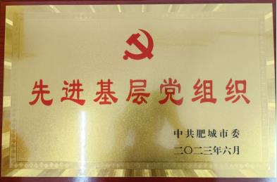 喜報！公司黨委榮獲肥城市“先進基層黨組織”榮譽稱號
