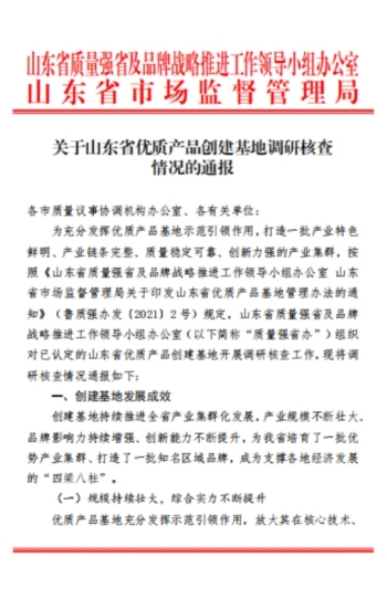 公司順利通過(guò)山東省優(yōu)質(zhì)建筑安裝服務(wù)基地的龍頭骨干企業(yè)調(diào)研核查