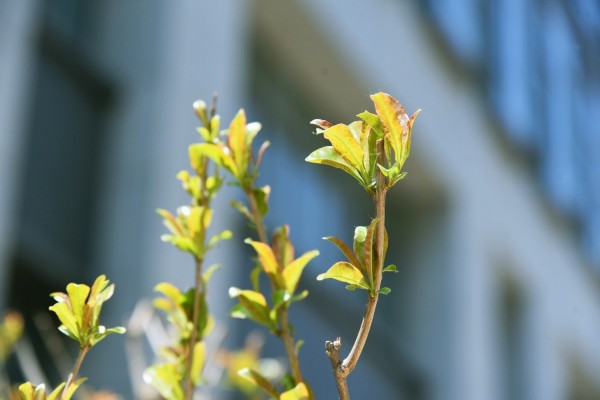 司園春景盛，奮進(jìn)正當(dāng)時(shí)