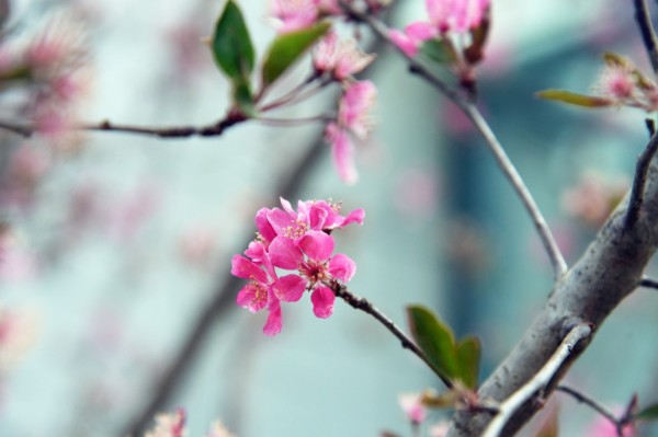 司園春景盛，奮進(jìn)正當(dāng)時(shí)