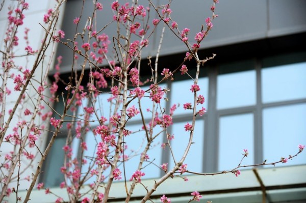 司園春景盛，奮進(jìn)正當(dāng)時(shí)